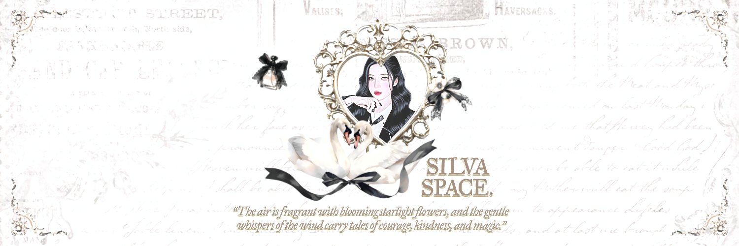 𝘀𝗶𝗹𝘃𝗮 : @ after dm ˖ ♡⁠ banner