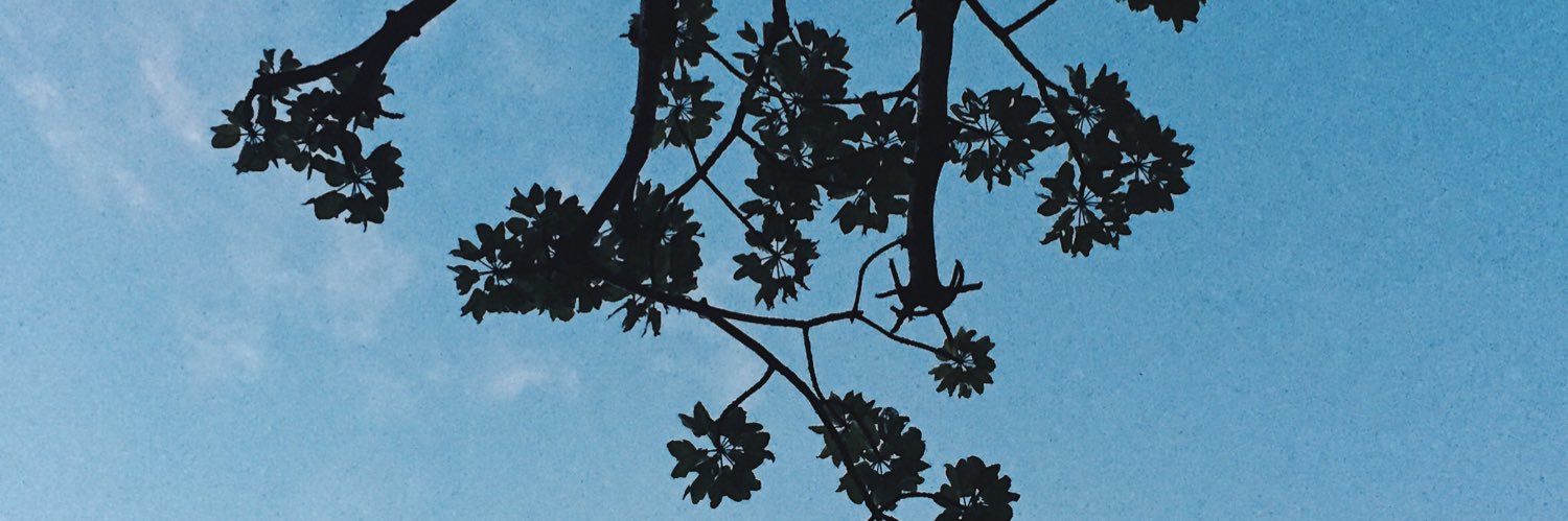 THEJEFSOOOON's profile banner image