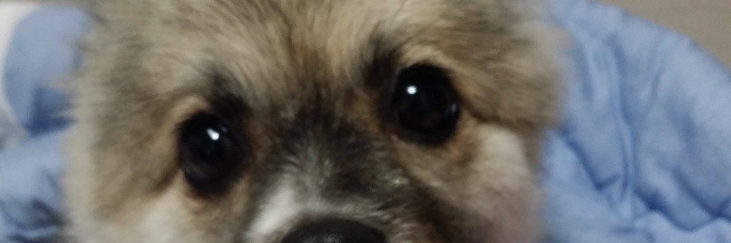 AsuCosK's profile banner image
