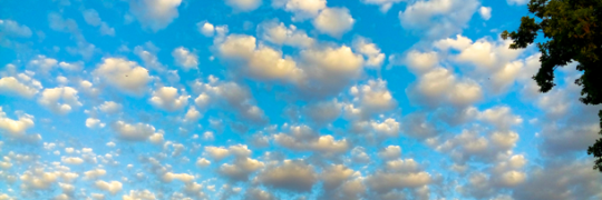 Zep215's profile banner image