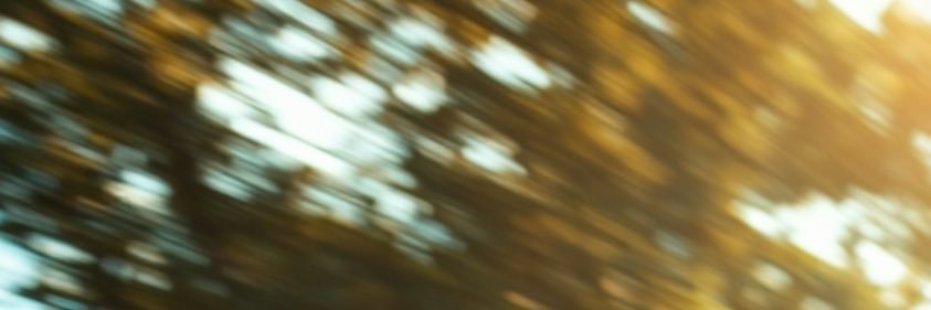 mickeymalmaison's profile banner image