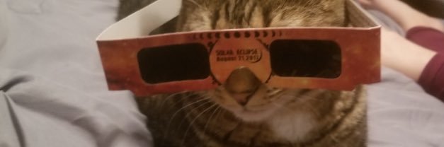 Sammi banner