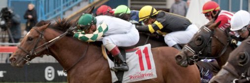 Michel H.F. Everett banner