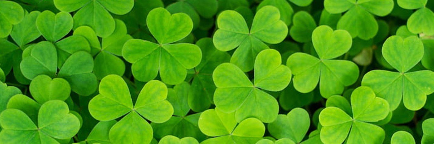 petercsx's profile banner image
