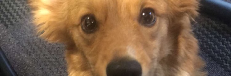 TannerNelson33's profile banner image