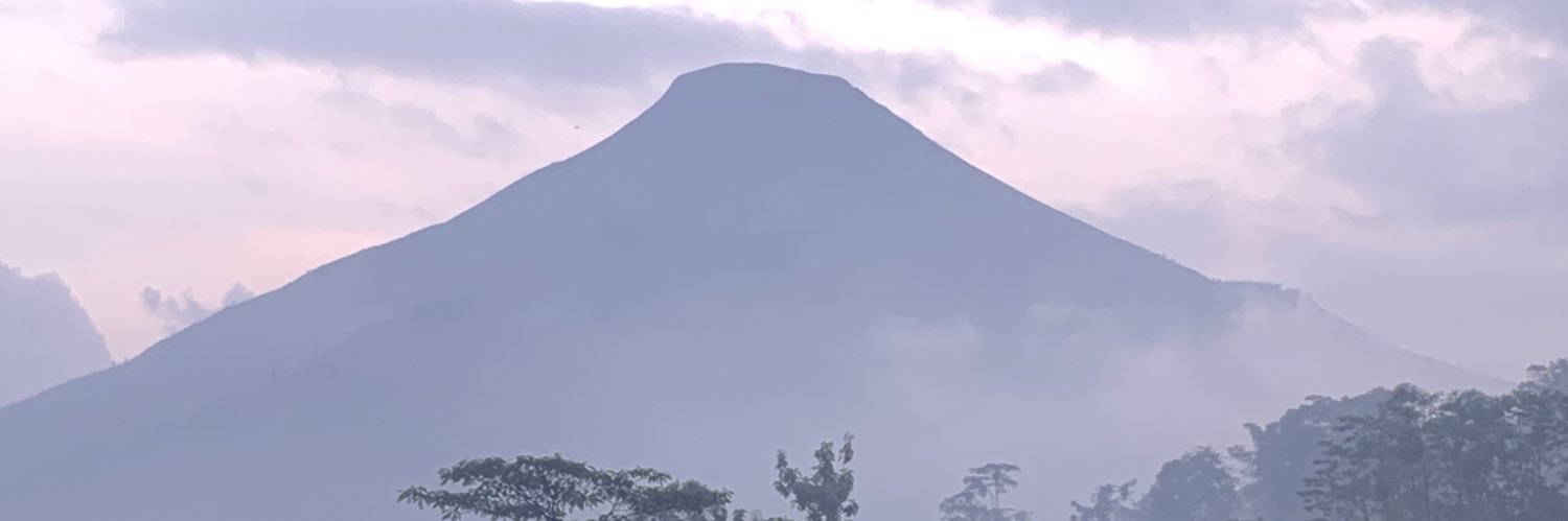 bosmini89's profile banner image