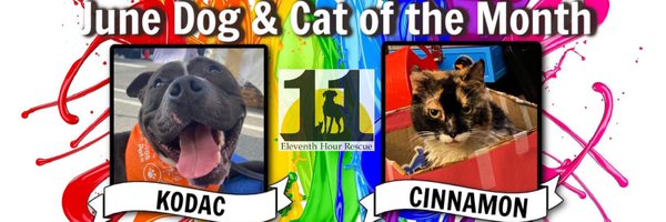 ehrdogs Profile Banner