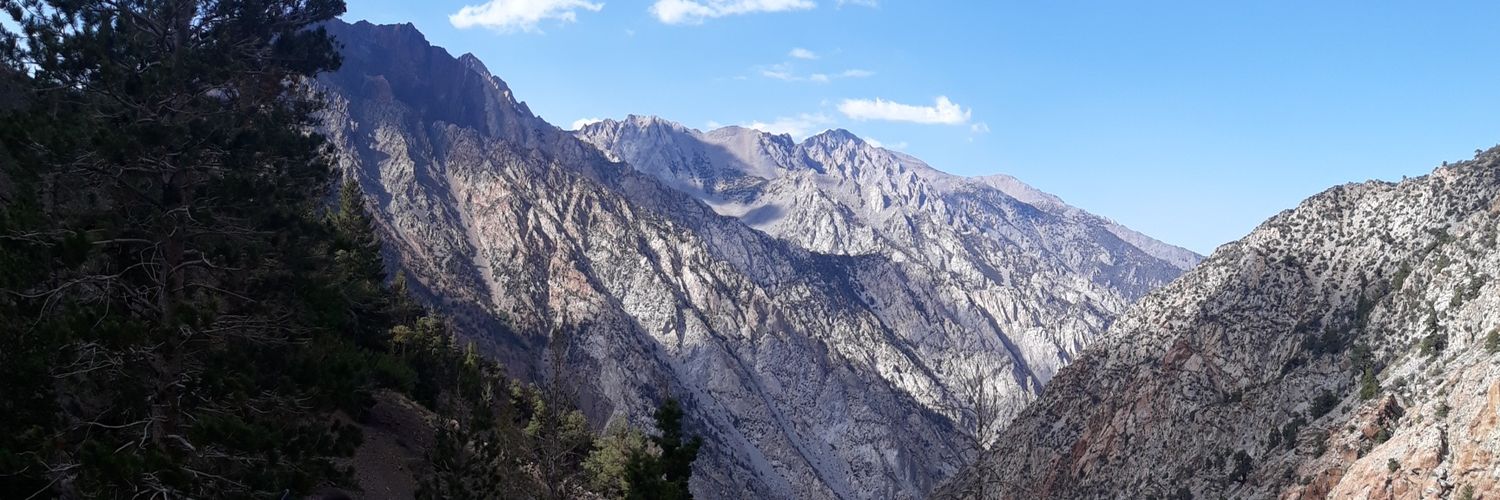 TheresasaurusRx's profile banner image