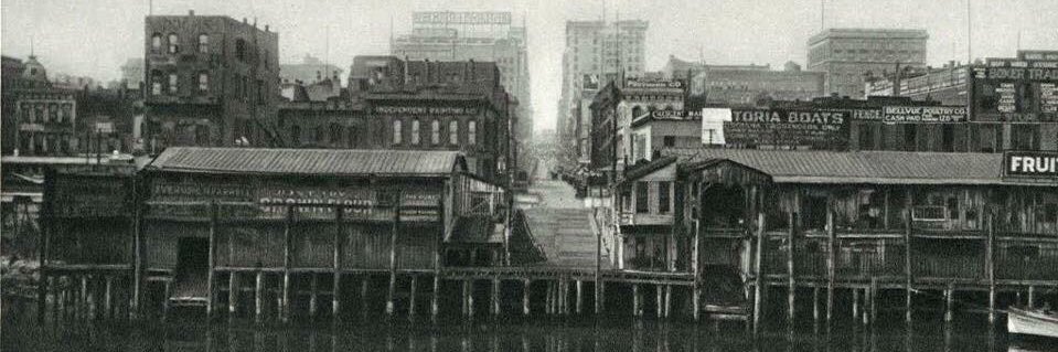 Portlandism's profile banner image