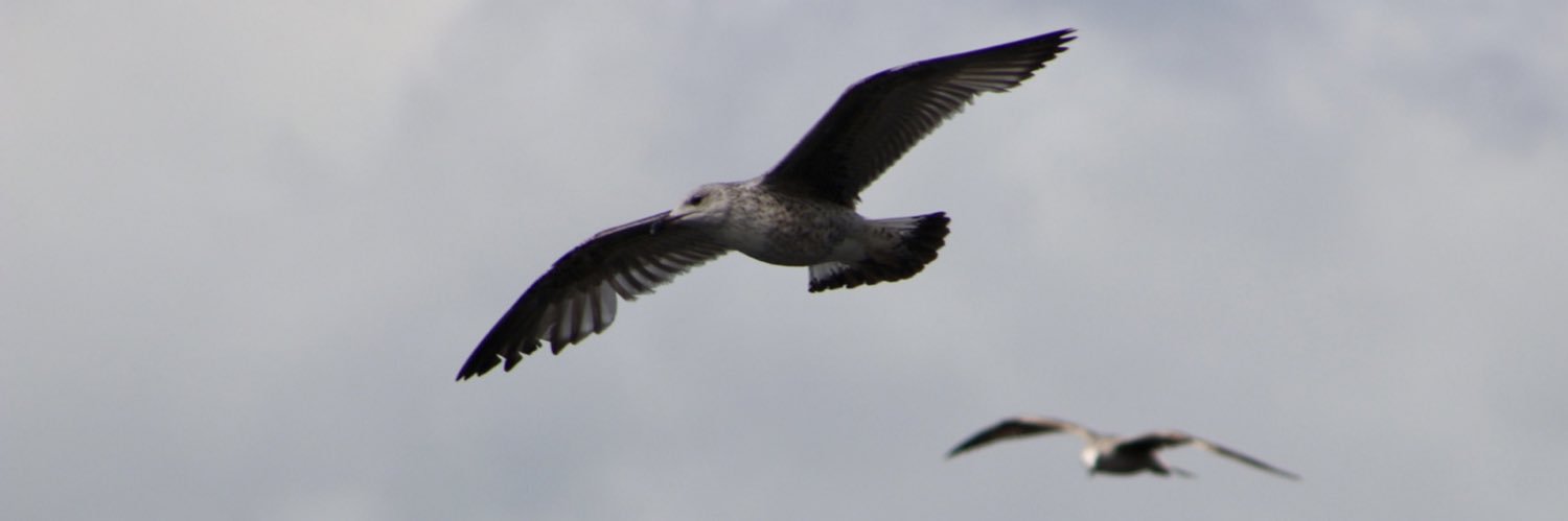 ceoregan's profile banner image