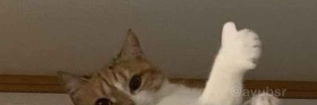 Kanjeng Ratu Rhaenyra banner