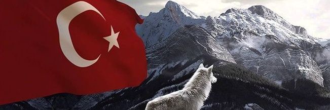 sadisagit's profile banner image
