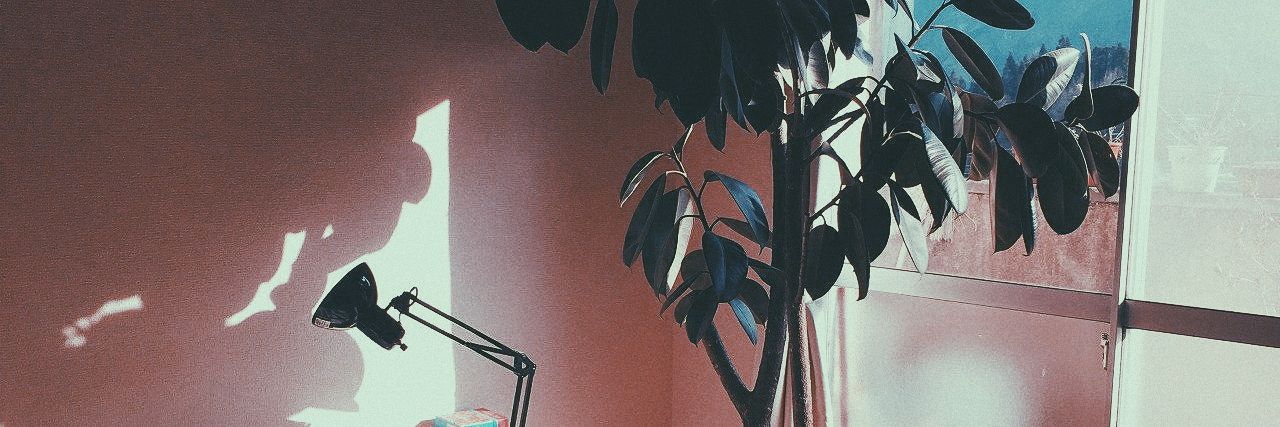 lisreit's profile banner image