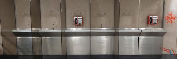 bashgrylls Profile Banner