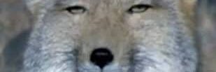 ltr996's profile banner image