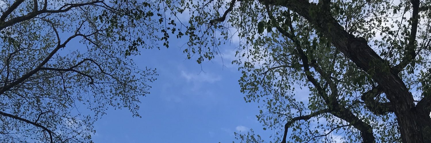 Eric_watermelon's profile banner image