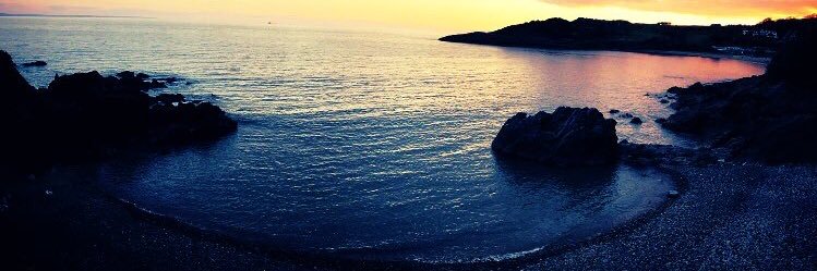 Mellissa Berry banner