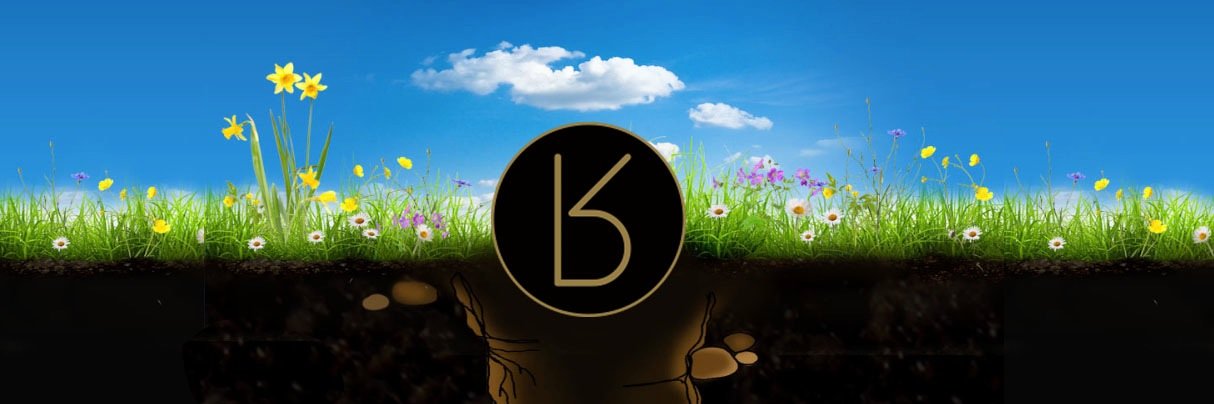 OfficialTRHG's profile banner image