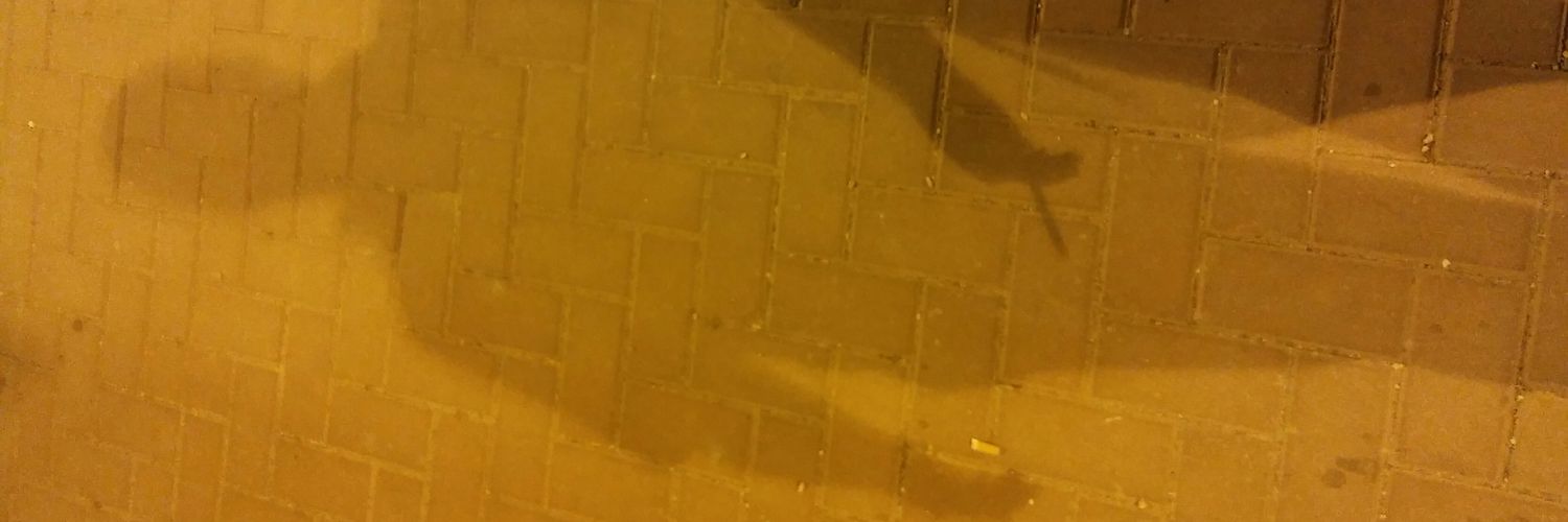 shleime's profile banner image