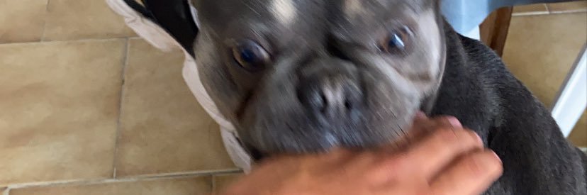nacho_prs's profile banner image