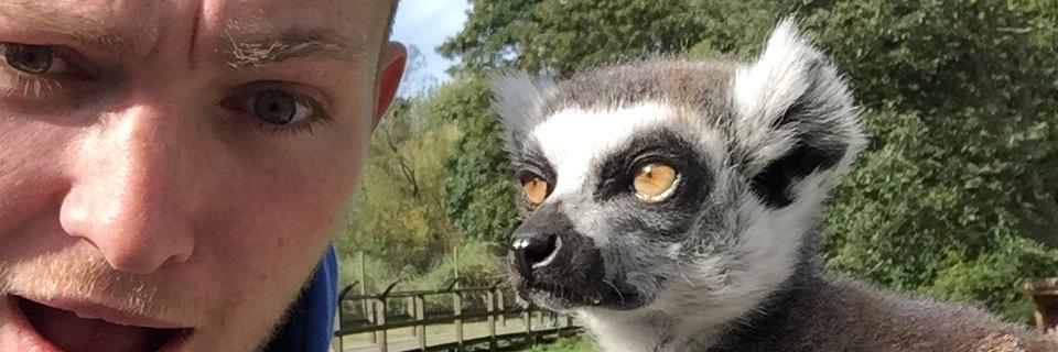 Jordschofield's profile banner image