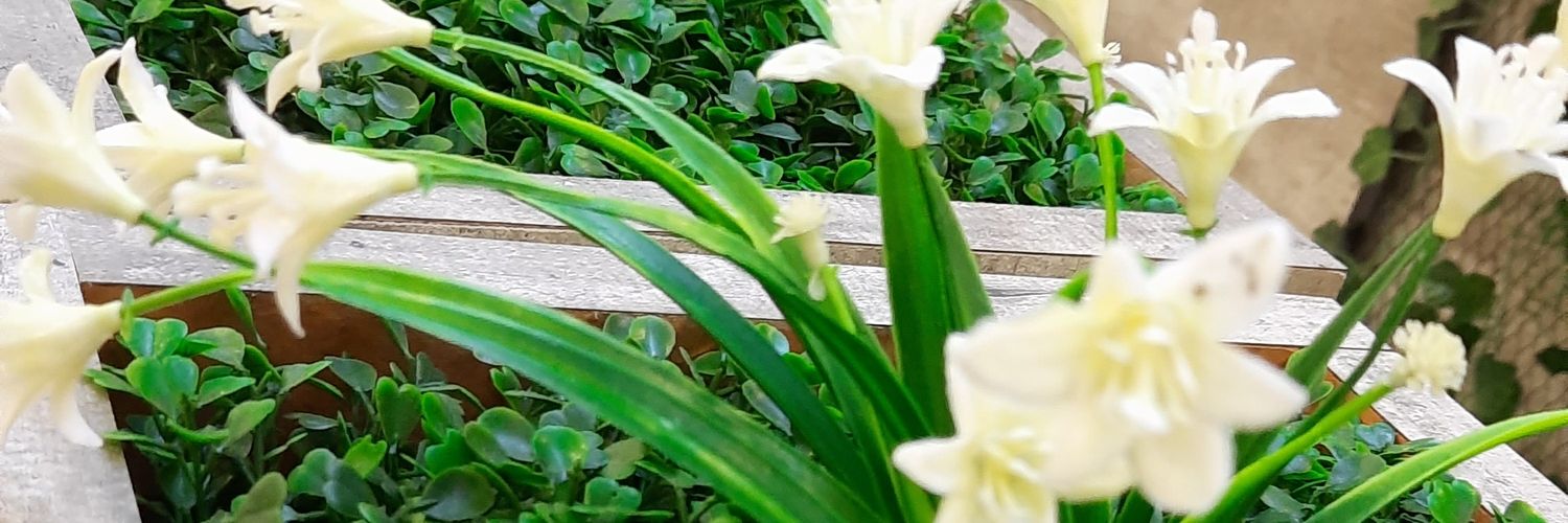 Firdah_26's profile banner image