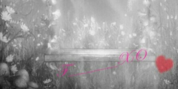F______XO's profile banner image