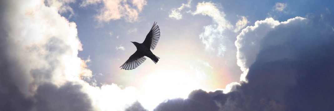 allbluesky76's profile banner image