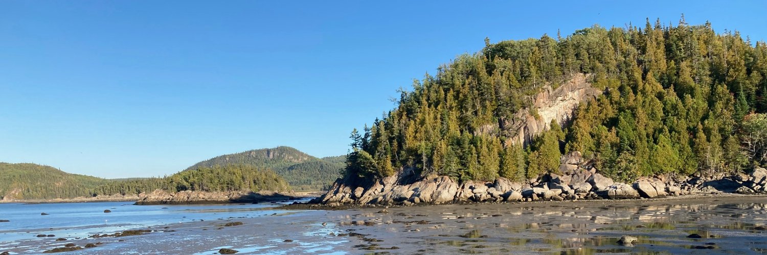 Vincent Pouliot banner