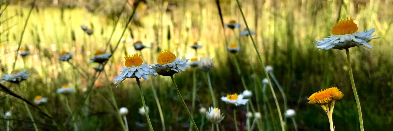 Ben Gooden 🌈 banner