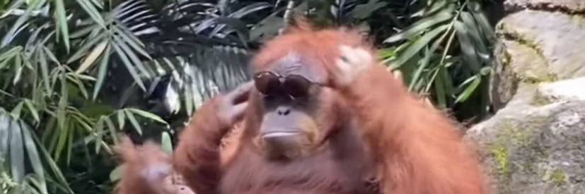 ReeseFelix's profile banner image