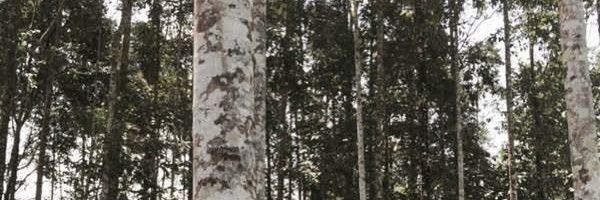 mrgampan's profile banner image