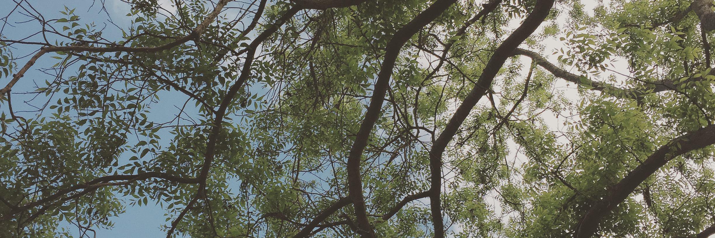 caitlingevers's profile banner image