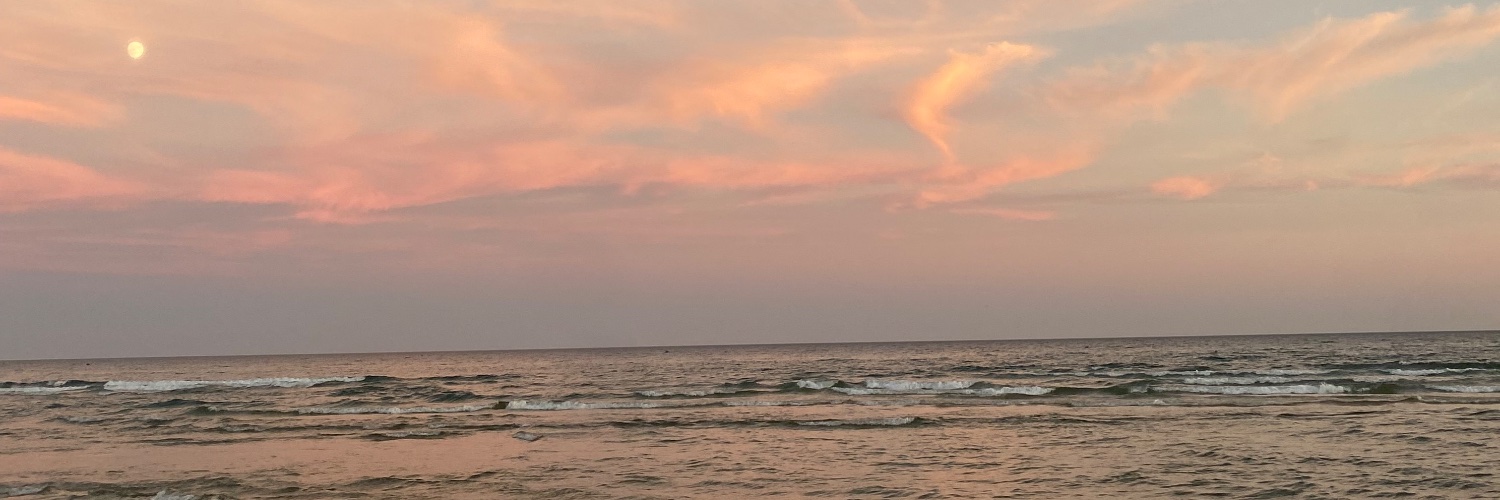 inesraquel25's profile banner image