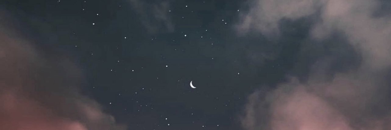 bellarozdoll's profile banner image