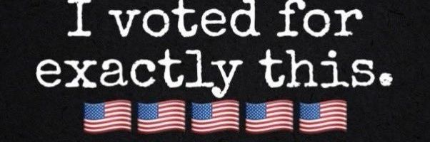 Scooter's banner