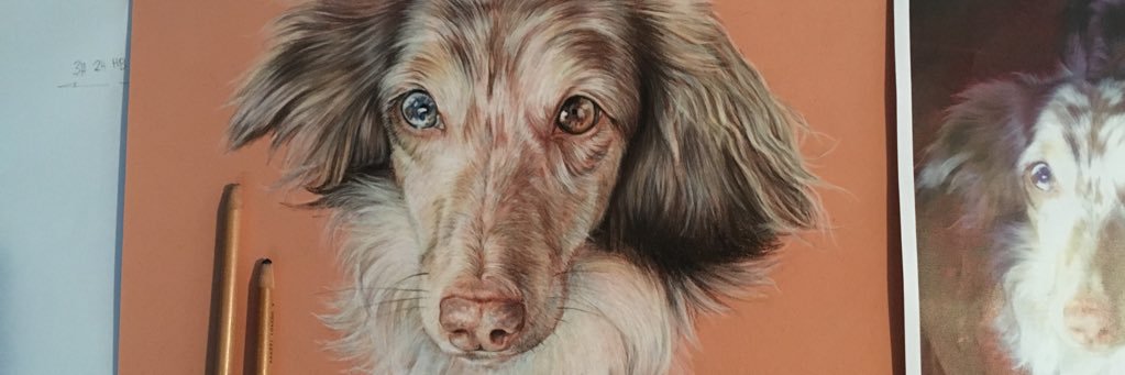 PcsIllustration's profile banner image
