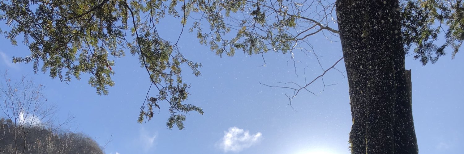ふぁるこ banner