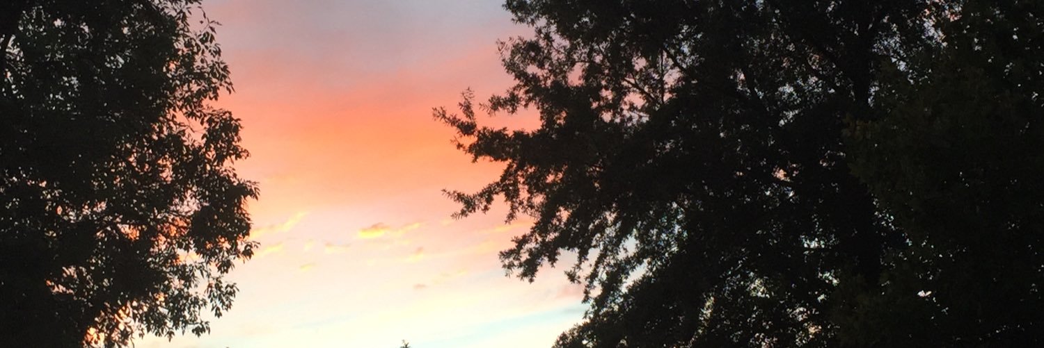 rbiv's profile banner image