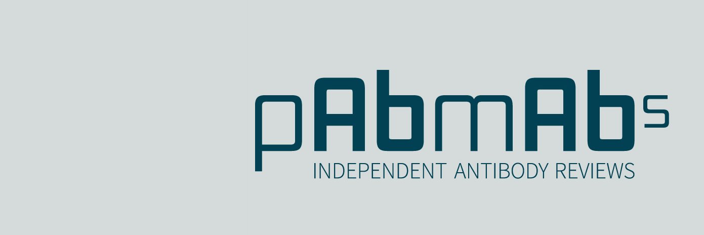 pAbmAbs's profile banner image