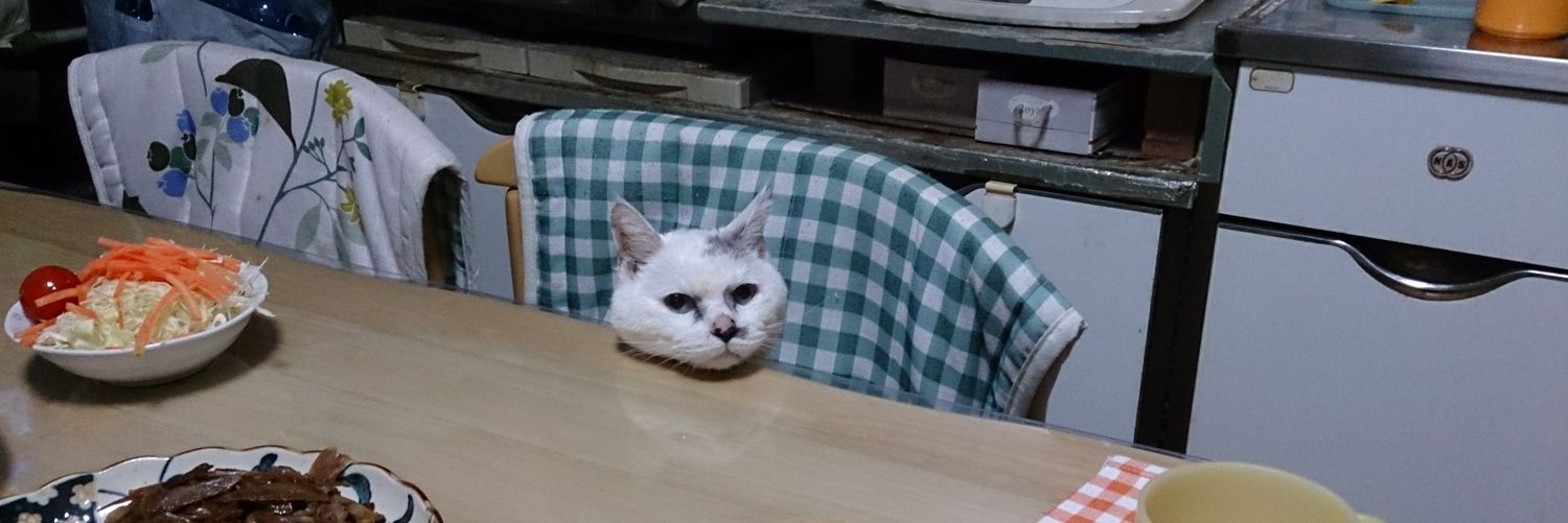 kt_tky's profile banner image