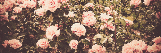 ActivityCheckWG's profile banner image