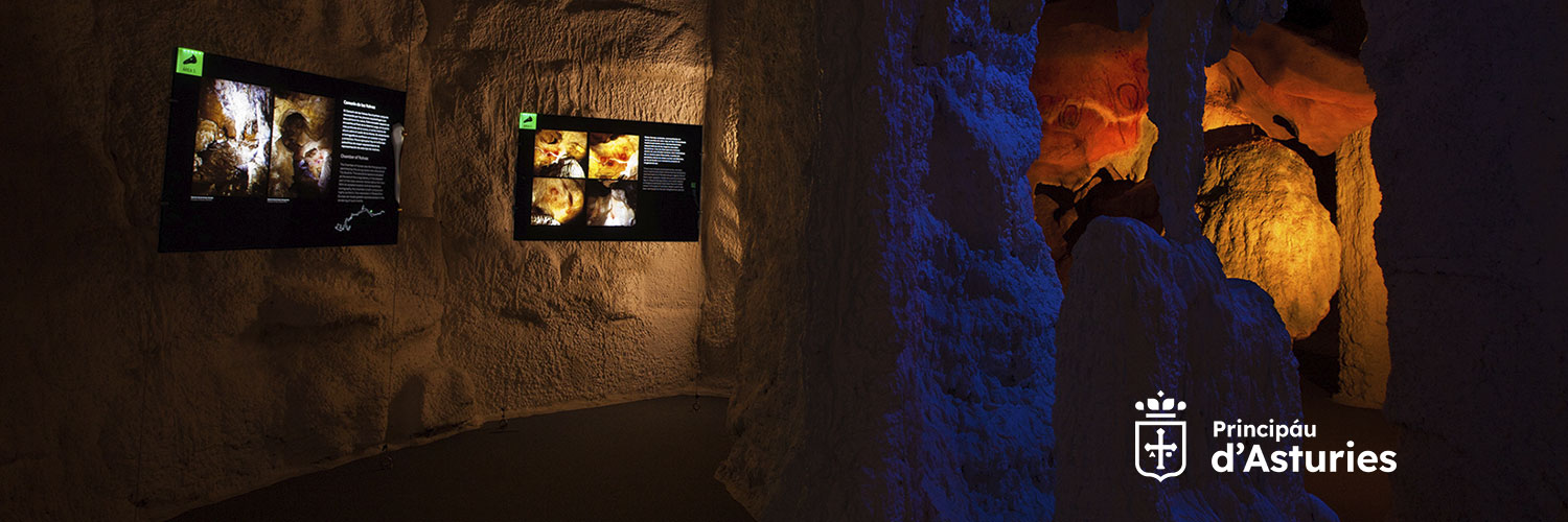 Centro Tito Bustillo banner