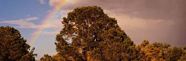 APamerldy's profile banner image