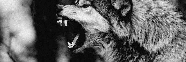 SambrinaSambuca's profile banner image