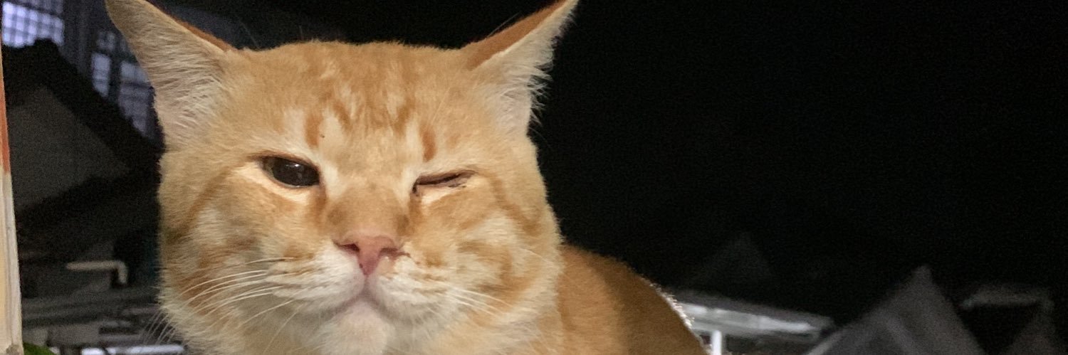 rafiffadil's profile banner image