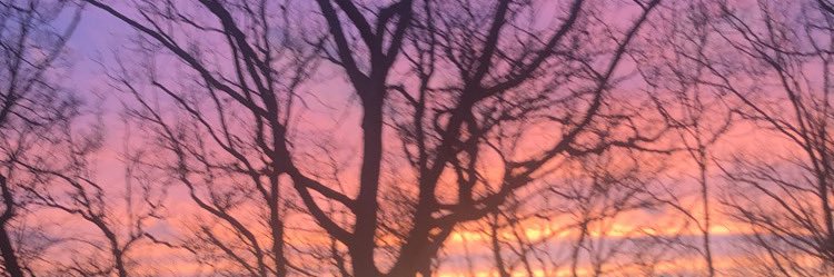 EmilyBrickey's profile banner image