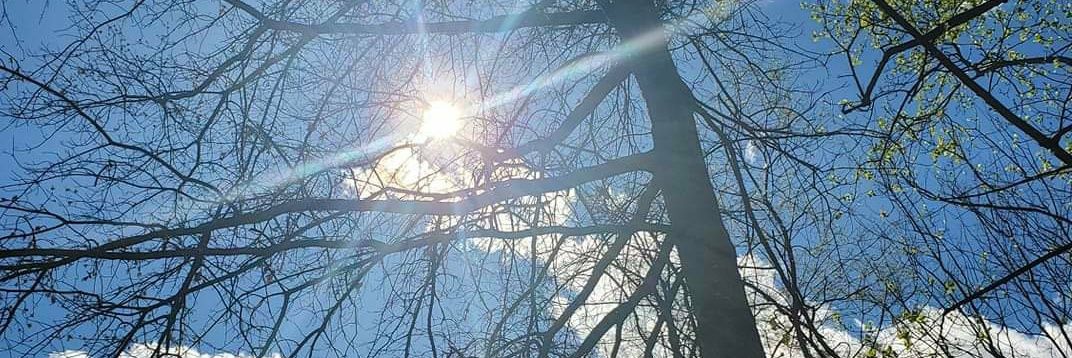 MOMumentally Me banner