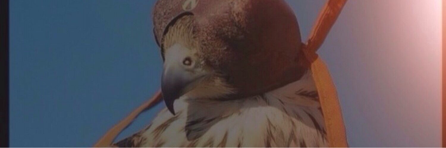 ah42222's profile banner image