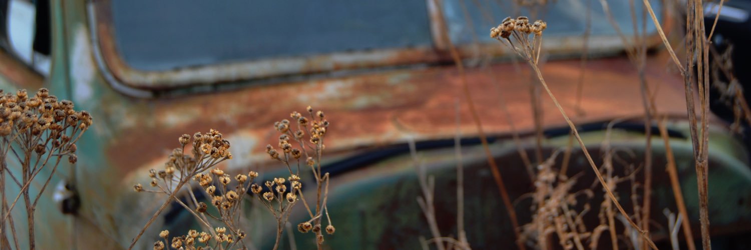 Amber_Remington's profile banner image